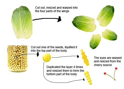 Creation of Veggie butterfly: Step 1